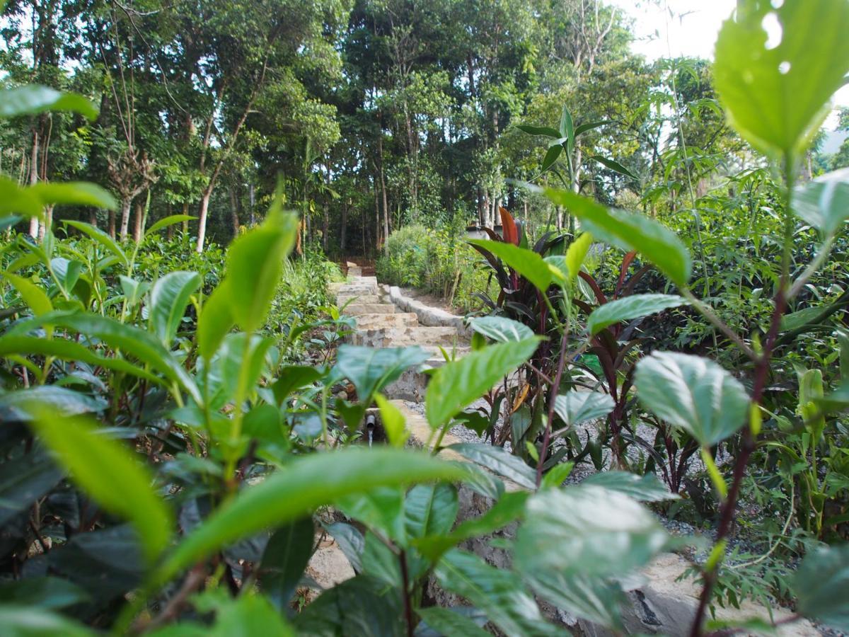 Tearamb Holiday Bungalow Otalawa Luaran gambar